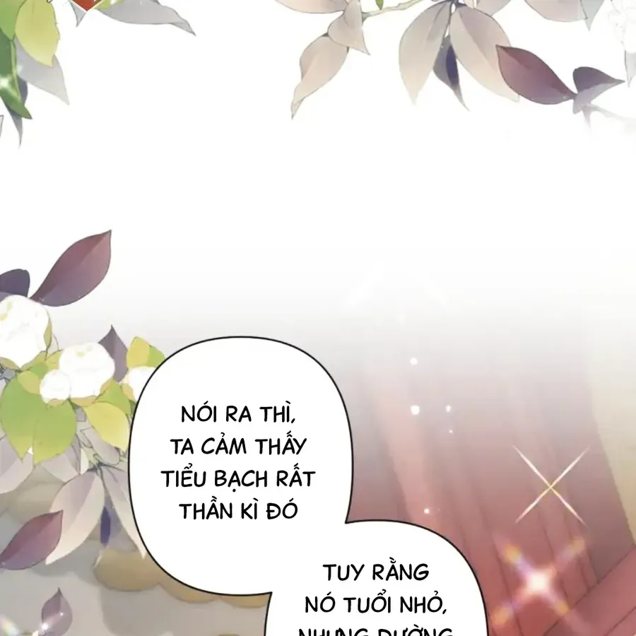 Đến Đông Hải Tìm Mỹ Nhân Chap 63 - Next Chap 64
