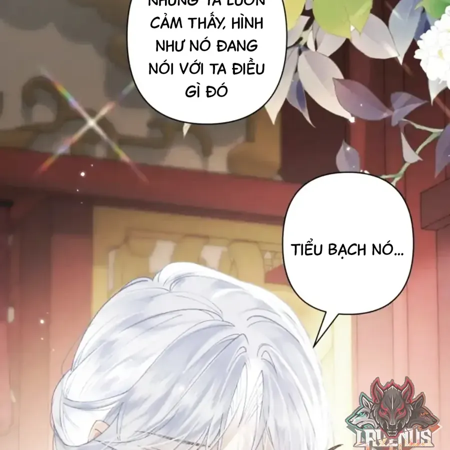 Đến Đông Hải Tìm Mỹ Nhân Chap 63 - Next Chap 64