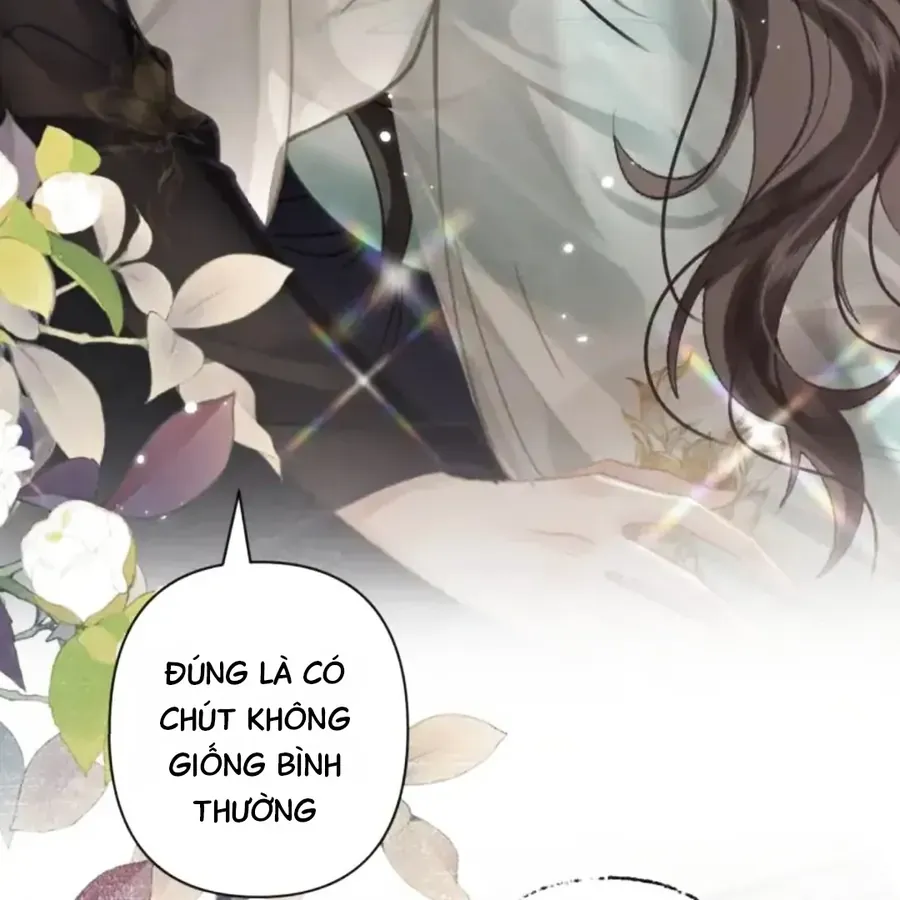 Đến Đông Hải Tìm Mỹ Nhân Chap 63 - Next Chap 64