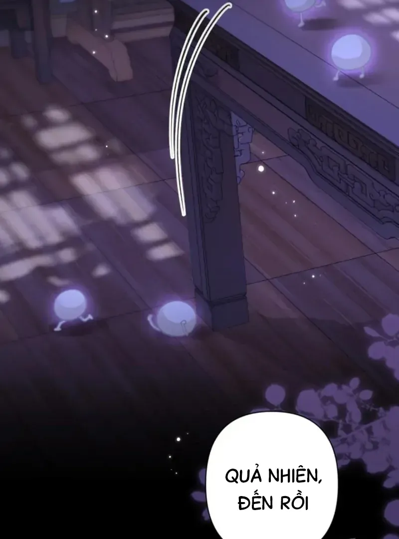 Đến Đông Hải Tìm Mỹ Nhân Chap 64 - Next Chap 65