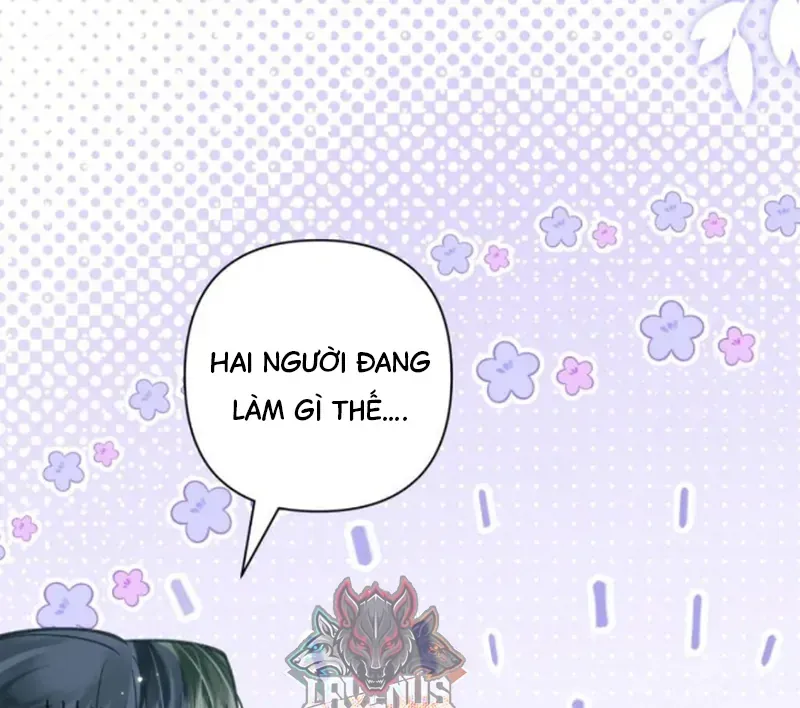 Đến Đông Hải Tìm Mỹ Nhân Chap 65 - Next Chap 66
