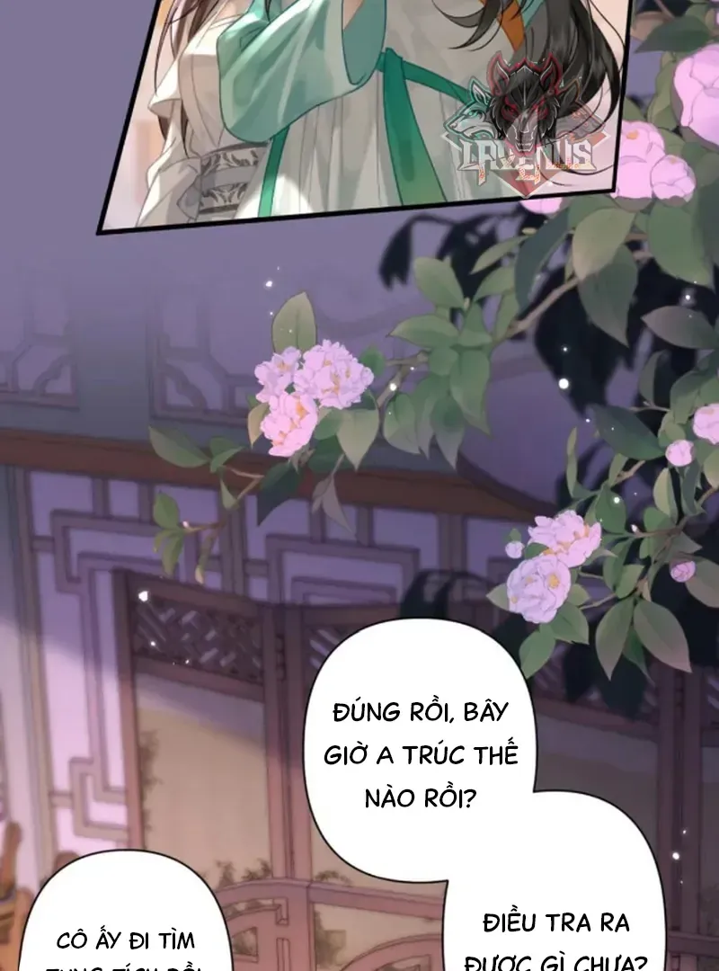 Đến Đông Hải Tìm Mỹ Nhân Chap 65 - Next Chap 66