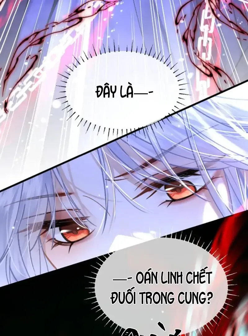 Đến Đông Hải Tìm Mỹ Nhân Chap 65 - Next Chap 66