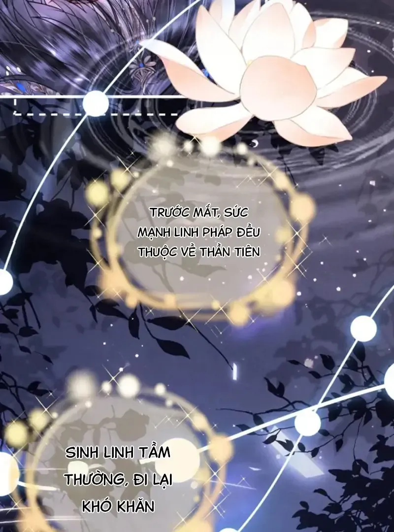 Đến Đông Hải Tìm Mỹ Nhân Chap 66 - Next Chap 67