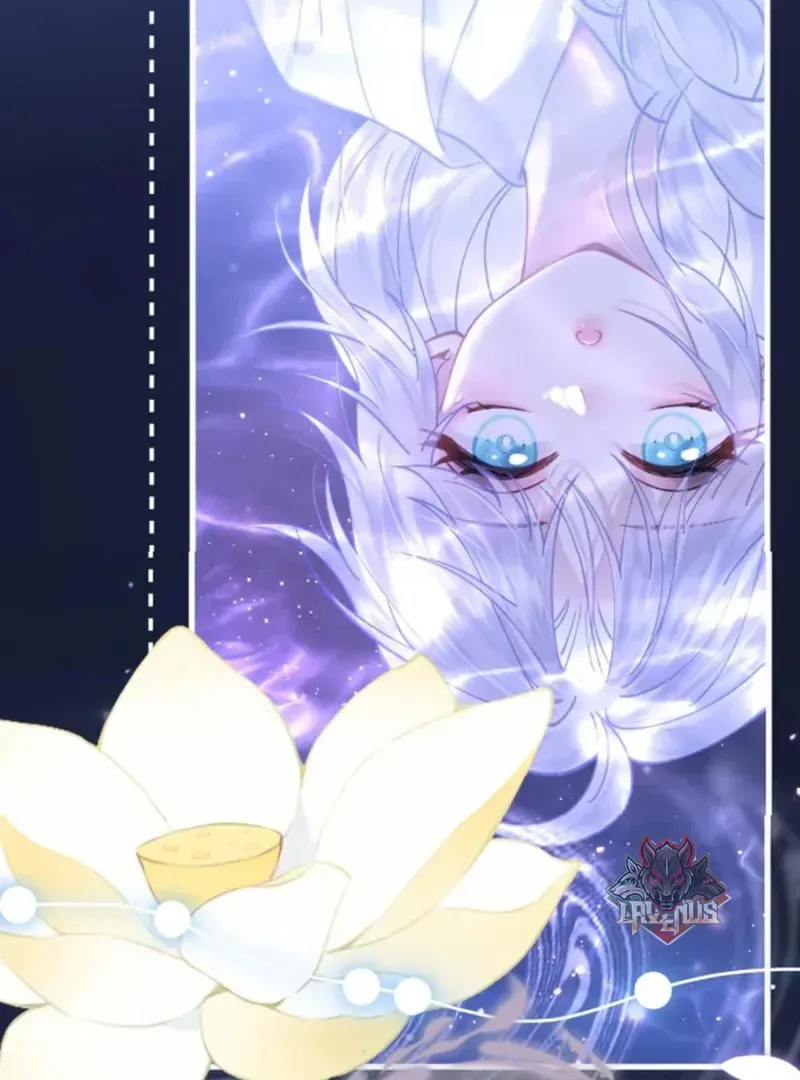 Đến Đông Hải Tìm Mỹ Nhân Chap 66 - Next Chap 67