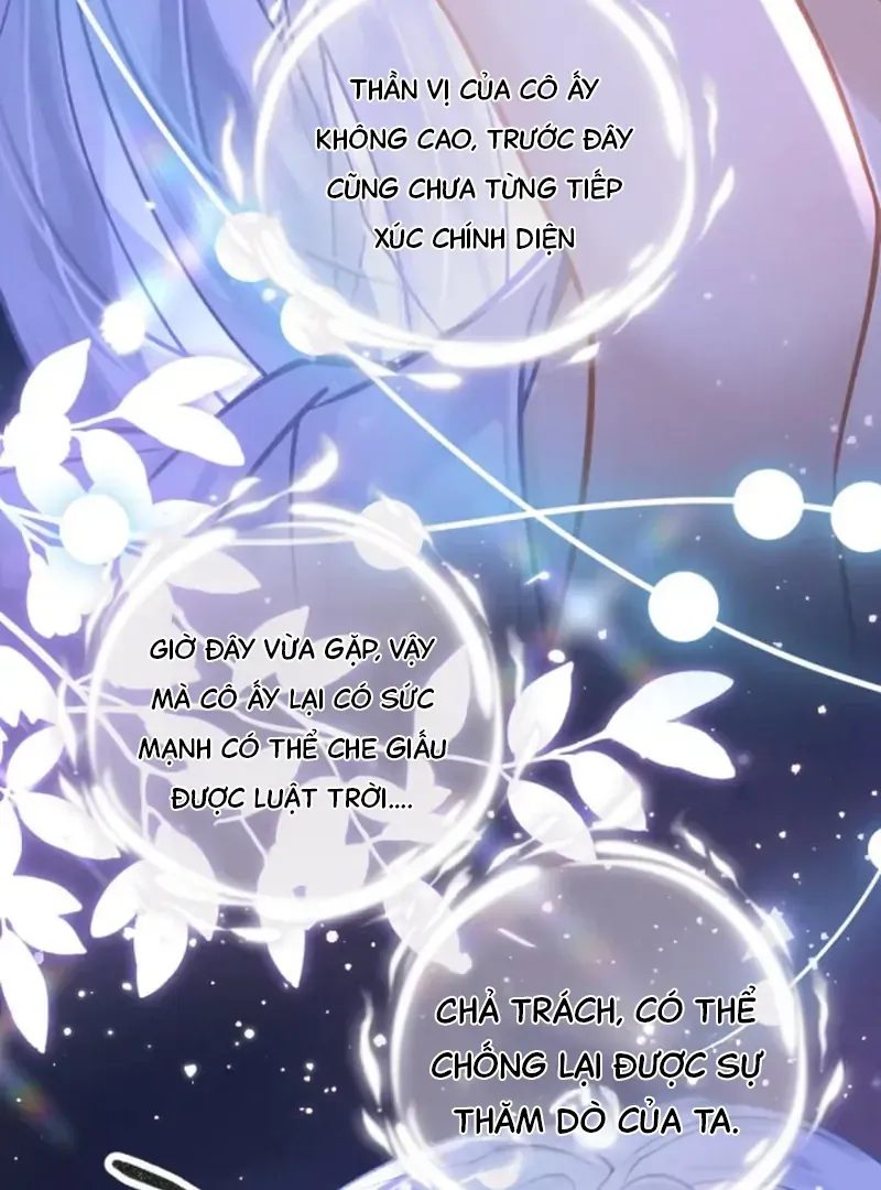 Đến Đông Hải Tìm Mỹ Nhân Chap 66 - Next Chap 67