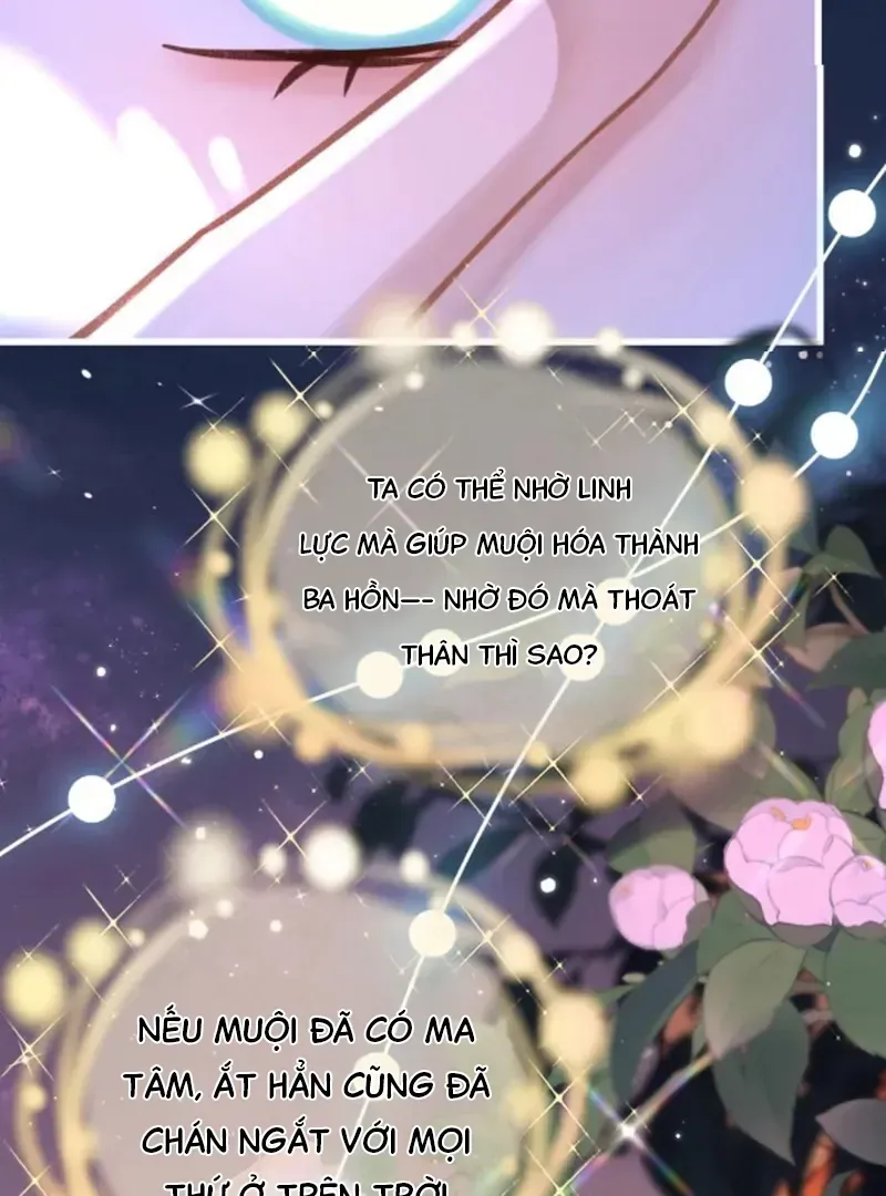 Đến Đông Hải Tìm Mỹ Nhân Chap 66 - Next Chap 67