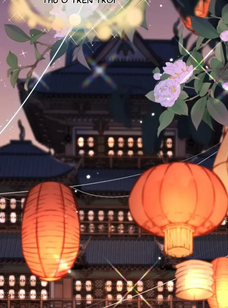 Đến Đông Hải Tìm Mỹ Nhân Chap 66 - Next Chap 67