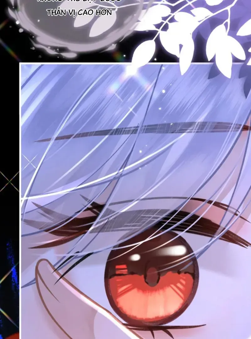 Đến Đông Hải Tìm Mỹ Nhân Chap 66 - Next Chap 67