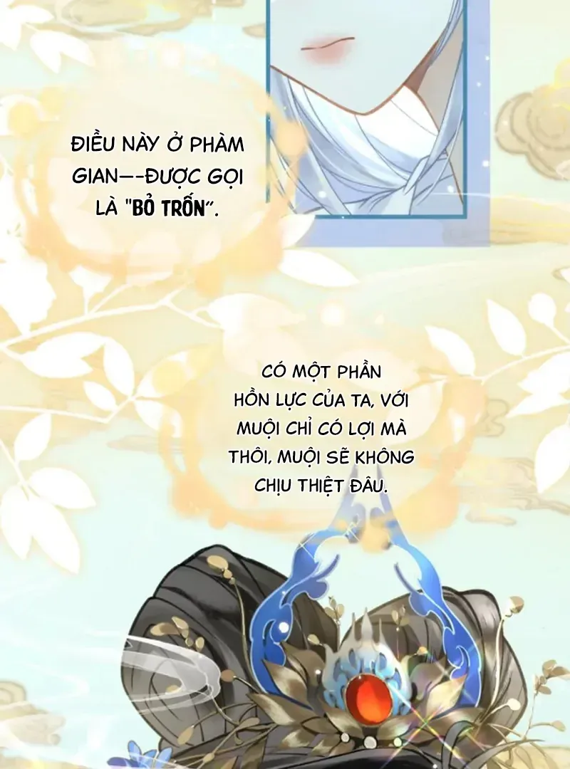 Đến Đông Hải Tìm Mỹ Nhân Chap 68 - Next Chap 69