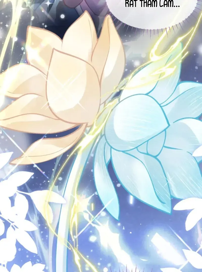 Đến Đông Hải Tìm Mỹ Nhân Chap 68 - Next Chap 69