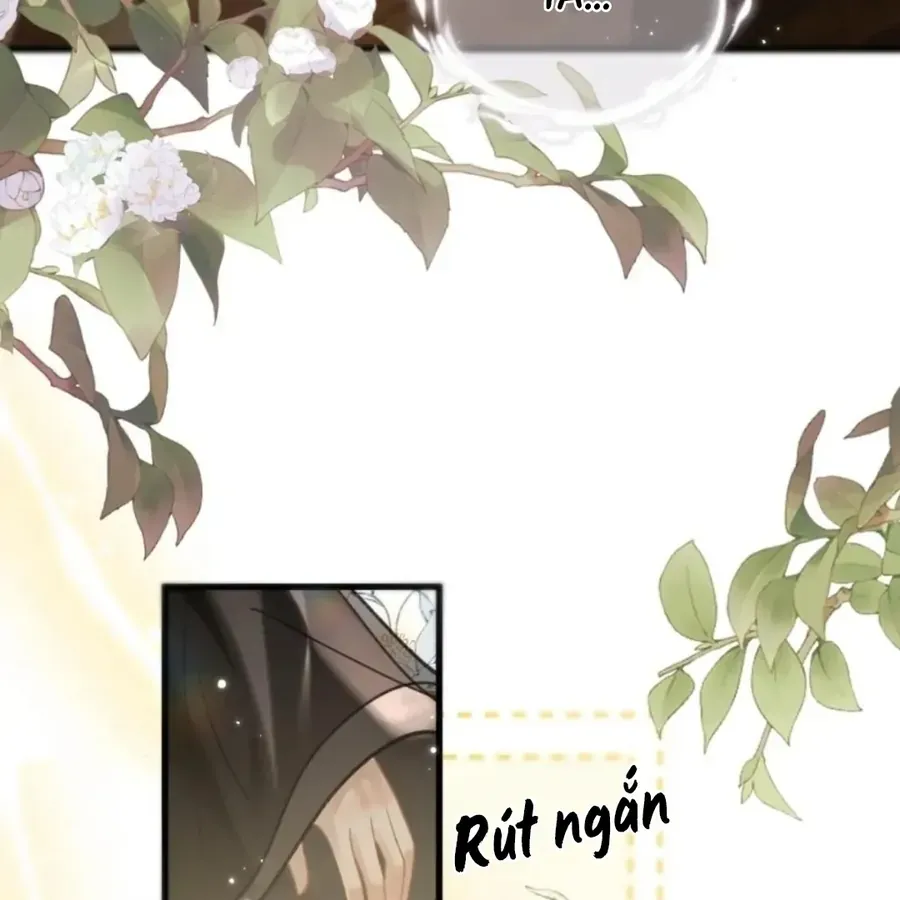 Đến Đông Hải Tìm Mỹ Nhân Chap 69 - Next Chap 70