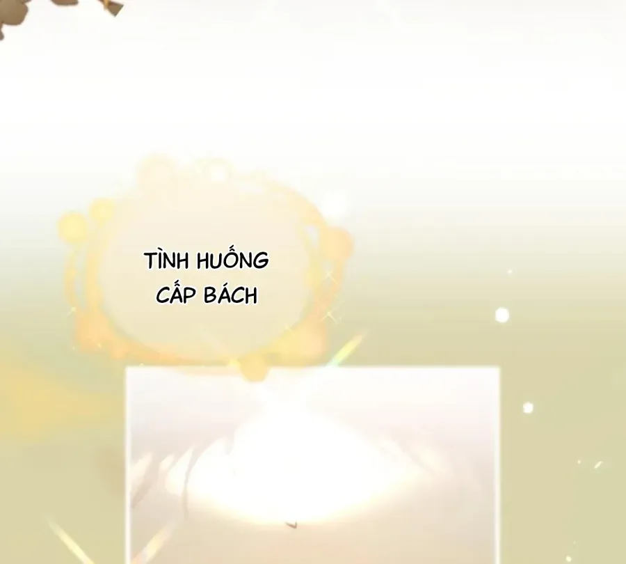 Đến Đông Hải Tìm Mỹ Nhân Chap 69 - Next Chap 70