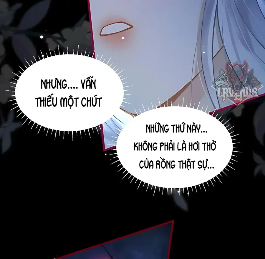 Đến Đông Hải Tìm Mỹ Nhân Chap 70 - Next Chap 71