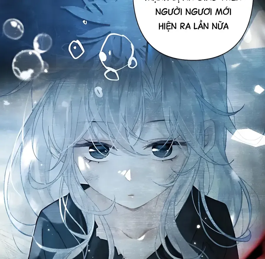 Đến Đông Hải Tìm Mỹ Nhân Chap 70 - Next Chap 71
