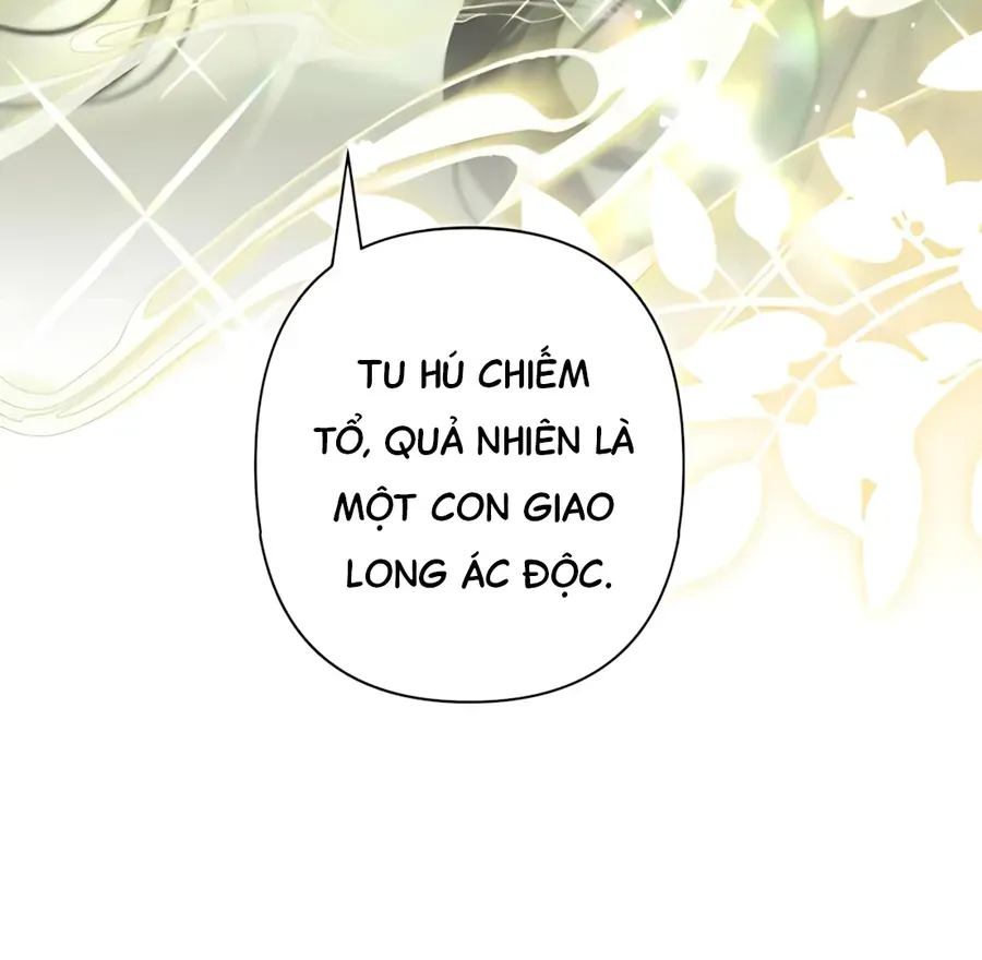 Đến Đông Hải Tìm Mỹ Nhân Chap 70 - Next Chap 71