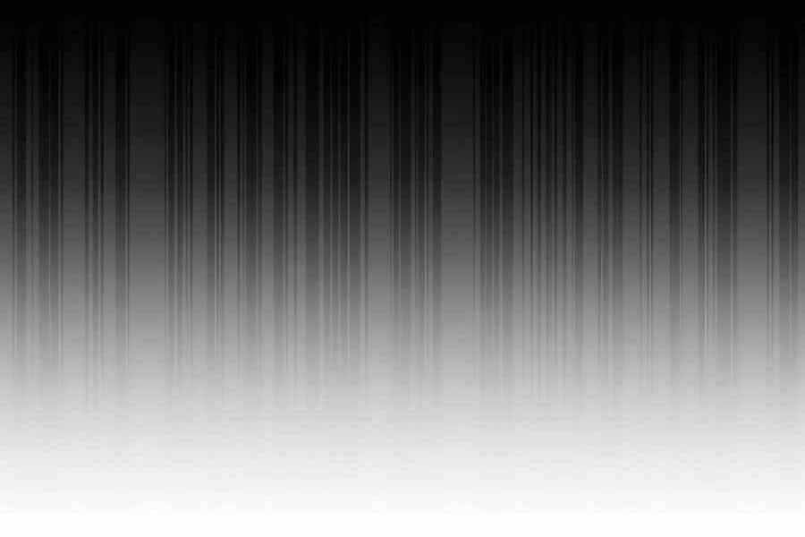 đi Săn Tự động Bằng Phân Thân Chap 5 - Next Chap 6