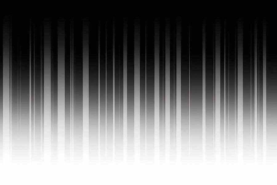 đi Săn Tự động Bằng Phân Thân Chap 6 - Next Chap 7