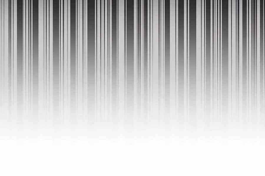 đi Săn Tự động Bằng Phân Thân Chap 6 - Next Chap 7