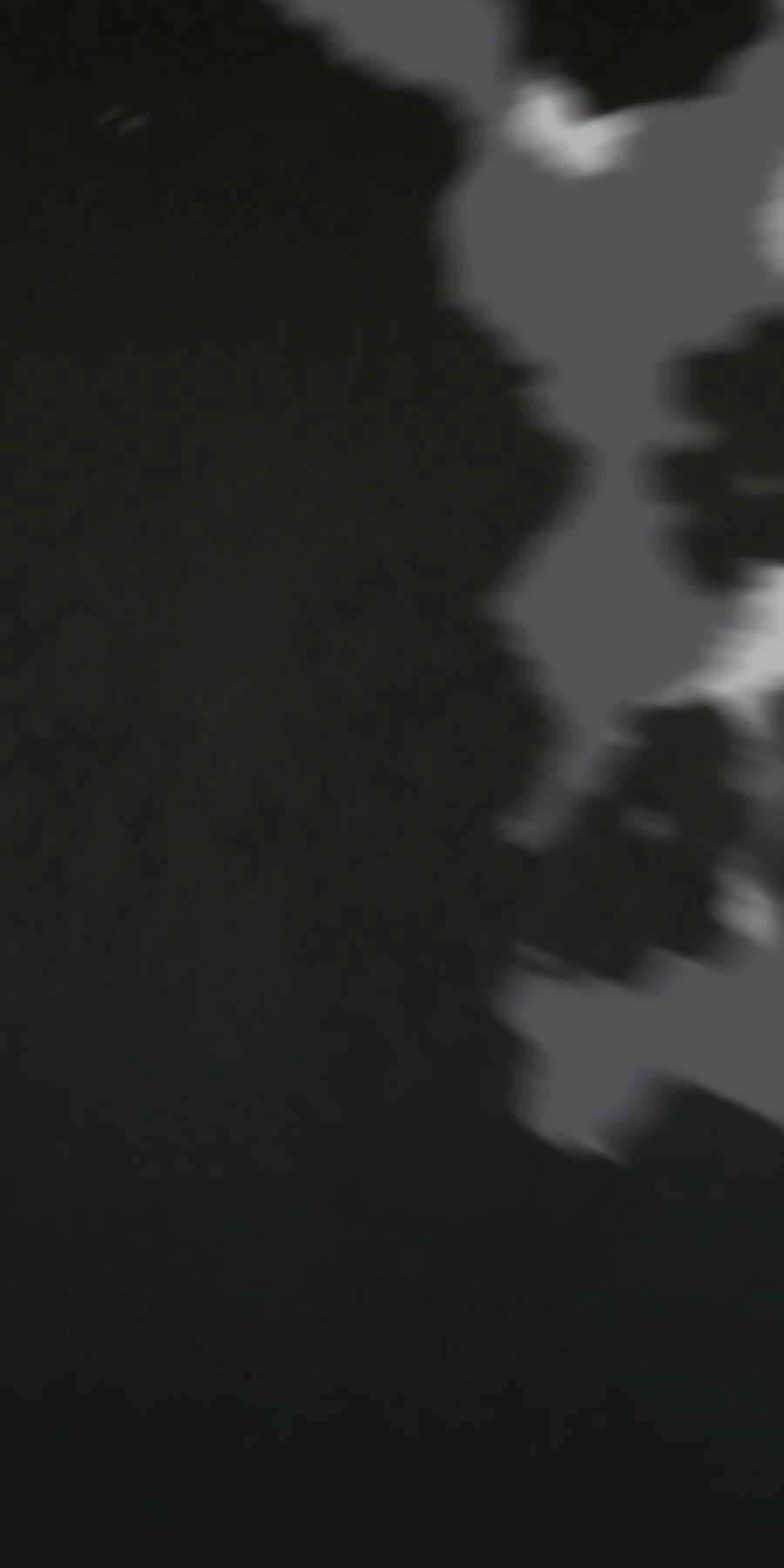 đi Săn Tự động Bằng Phân Thân Chap 86 - Next Chap 87