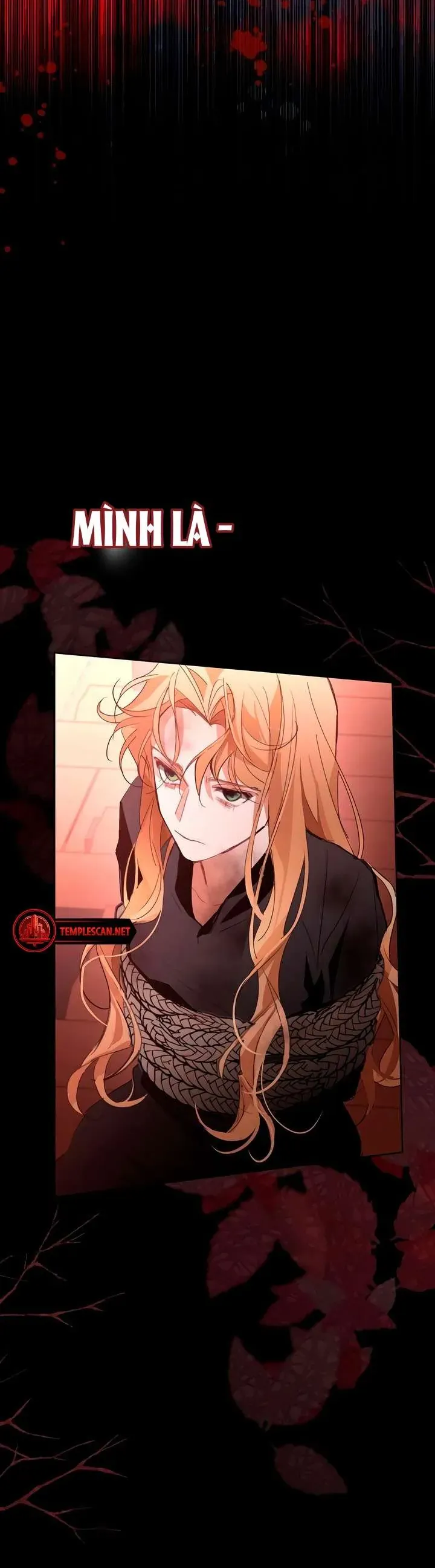 Đi Tìm Ác Nữ Đã Cùng Trải Qua Đêm Đầu Tiên Chap 14 - Next Chap 15