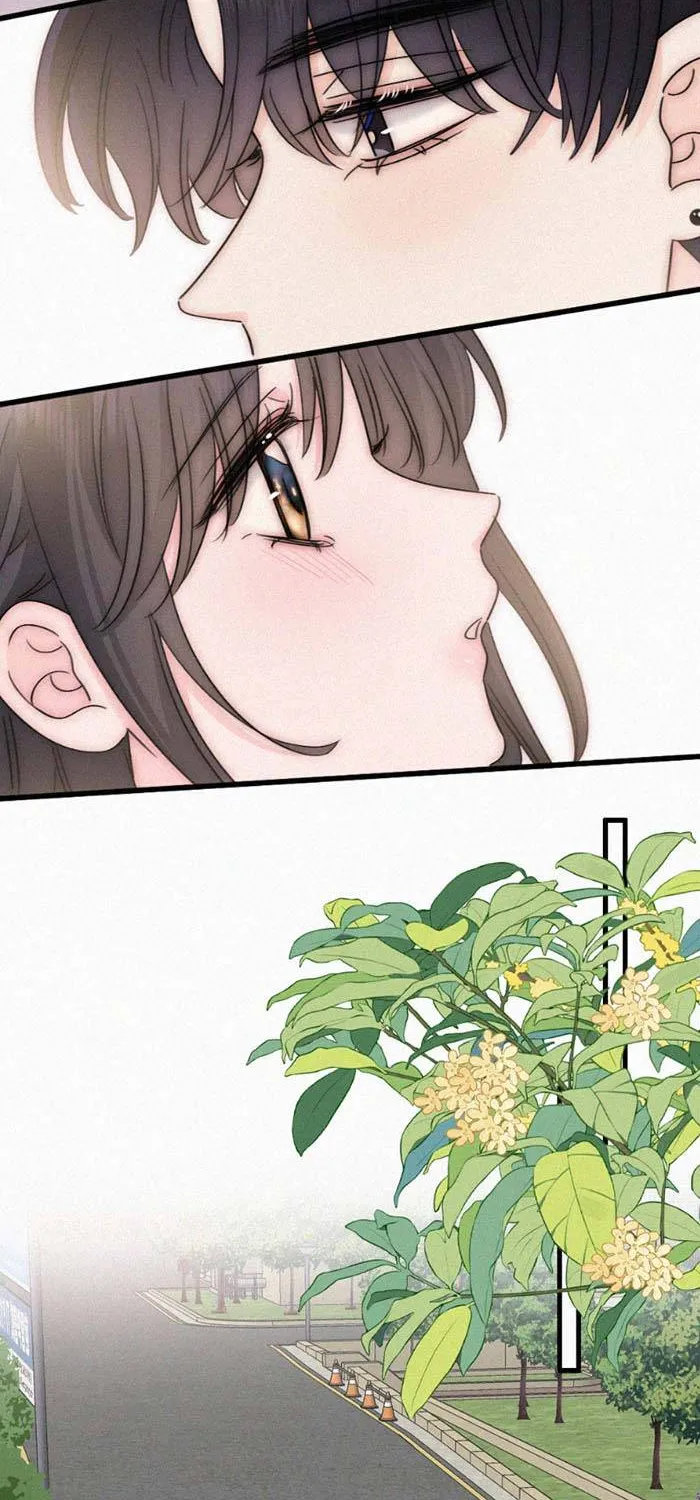 Điên Cuồng Yêu Em Chap 185 - Next Chap 186