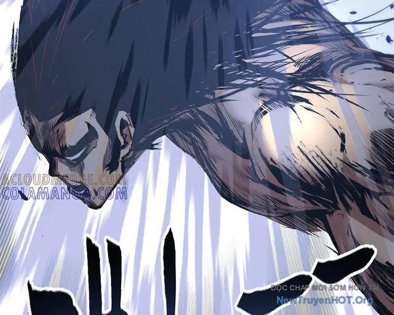 Đỉnh Cấp Khí Vận, Lặng Lẽ Tu Luyện Ngàn Năm Chap 266 - Next Chap 267