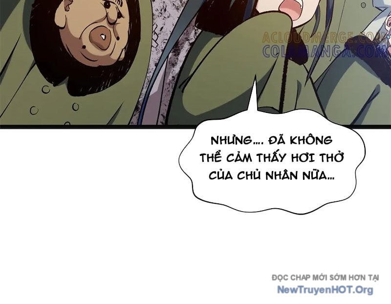 Đỉnh Cấp Khí Vận, Lặng Lẽ Tu Luyện Ngàn Năm Chap 266 - Next Chap 267