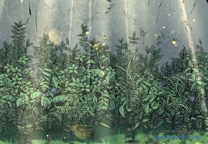 Đỉnh Cấp Khí Vận, Lặng Lẽ Tu Luyện Ngàn Năm Chap 270 - Next Chap 271