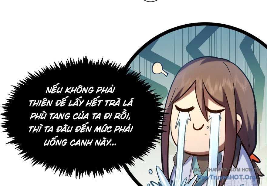 Đỉnh Cấp Khí Vận, Lặng Lẽ Tu Luyện Ngàn Năm Chap 270 - Next Chap 271