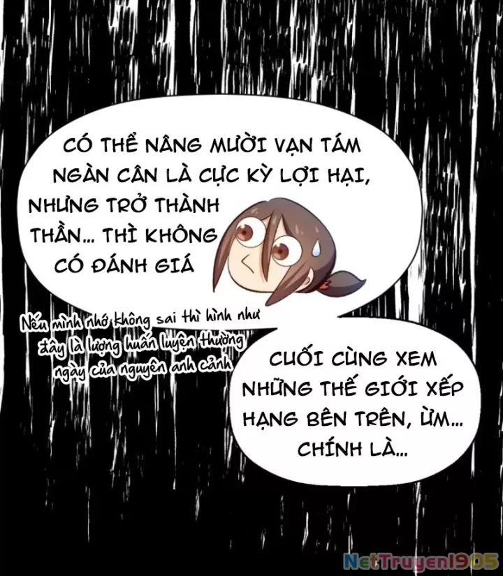 Đỉnh Cấp Khí Vận, Lặng Lẽ Tu Luyện Ngàn Năm Chap 271 - Next Chap 272