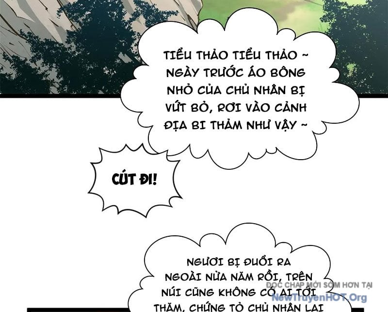 Đỉnh Cấp Khí Vận Lặng Lẽ Tu Luyện Ngàn Năm Chap 273 - Next Chap 274