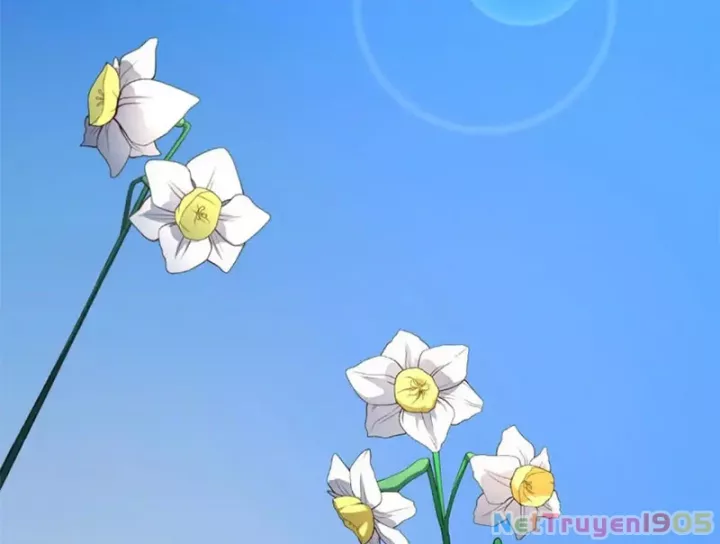 Đỉnh Cấp Khí Vận Lặng Lẽ Tu Luyện Ngàn Năm Chap 278 - Next Chap 279