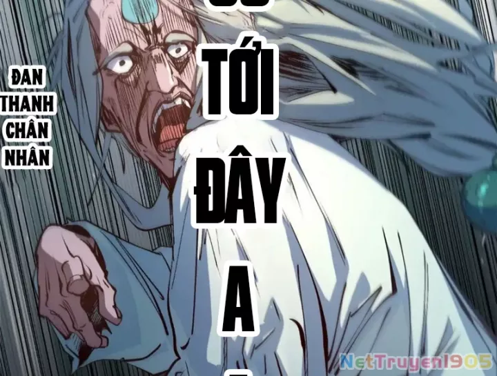 Đỉnh Cấp Khí Vận, Lặng Lẽ Tu Luyện Ngàn Năm Chap 278 - Next Chap 279