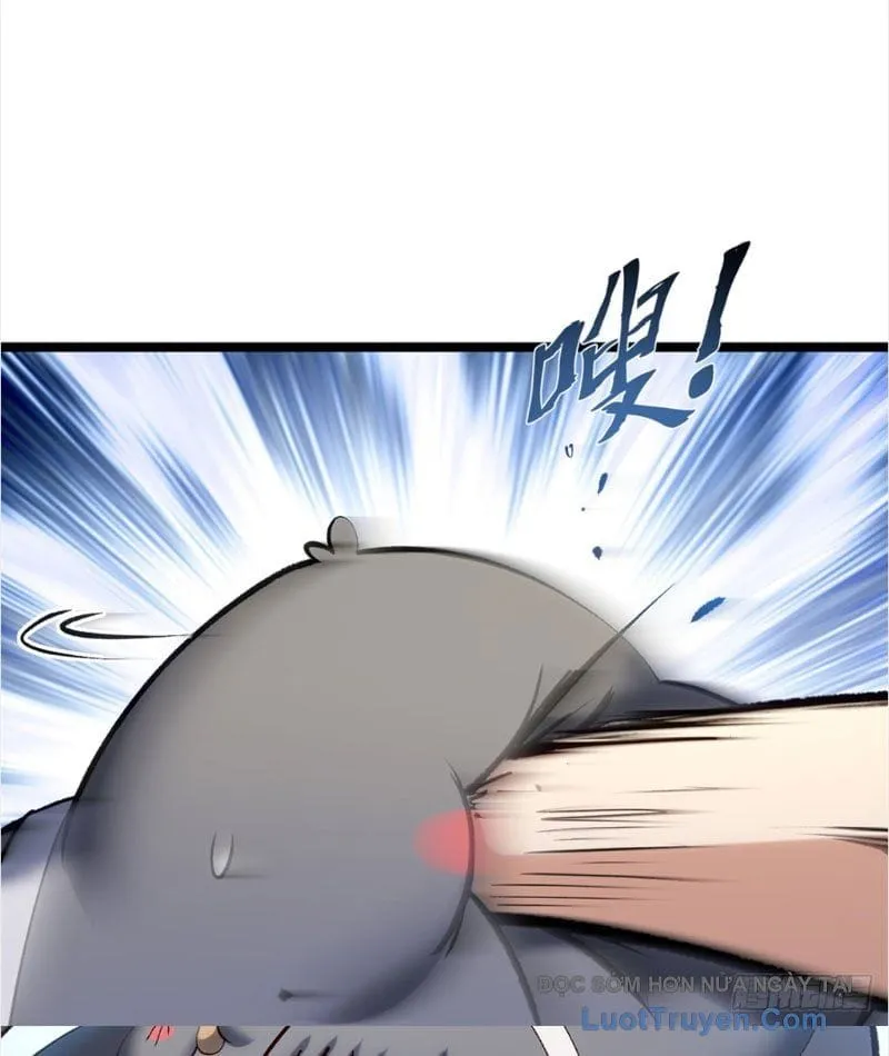 Đỉnh Cấp Khí Vận, Lặng Lẽ Tu Luyện Ngàn Năm Chap 296 - Next Chap 297