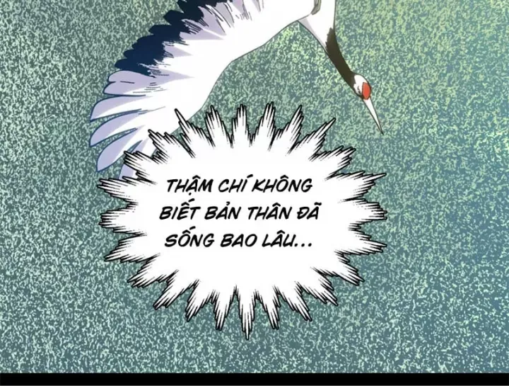 Đỉnh Cấp Khí Vận, Lặng Lẽ Tu Luyện Ngàn Năm Chap 298 - Next Chap 299