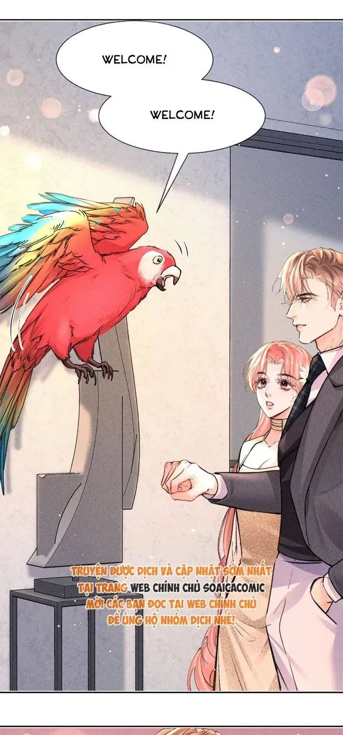 Định Mệnh Sau Cú Đấm Nhầm Chap 31 - Next Chap 32