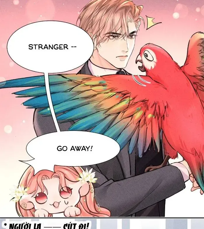 Định Mệnh Sau Cú Đấm Nhầm Chap 31 - Next Chap 32