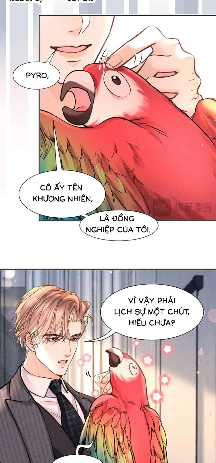 Định Mệnh Sau Cú Đấm Nhầm Chap 31 - Next Chap 32