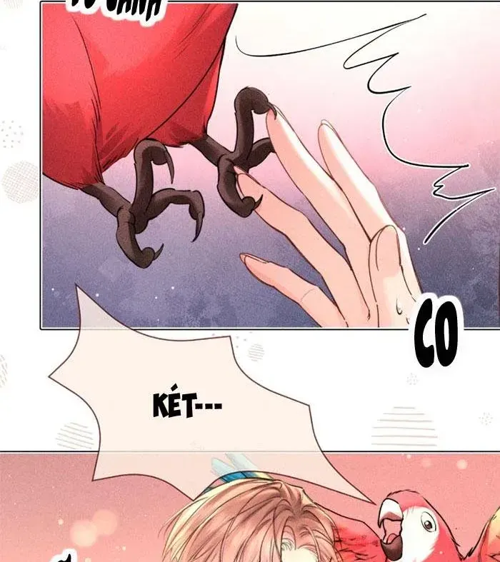 Định Mệnh Sau Cú Đấm Nhầm Chap 31 - Next Chap 32