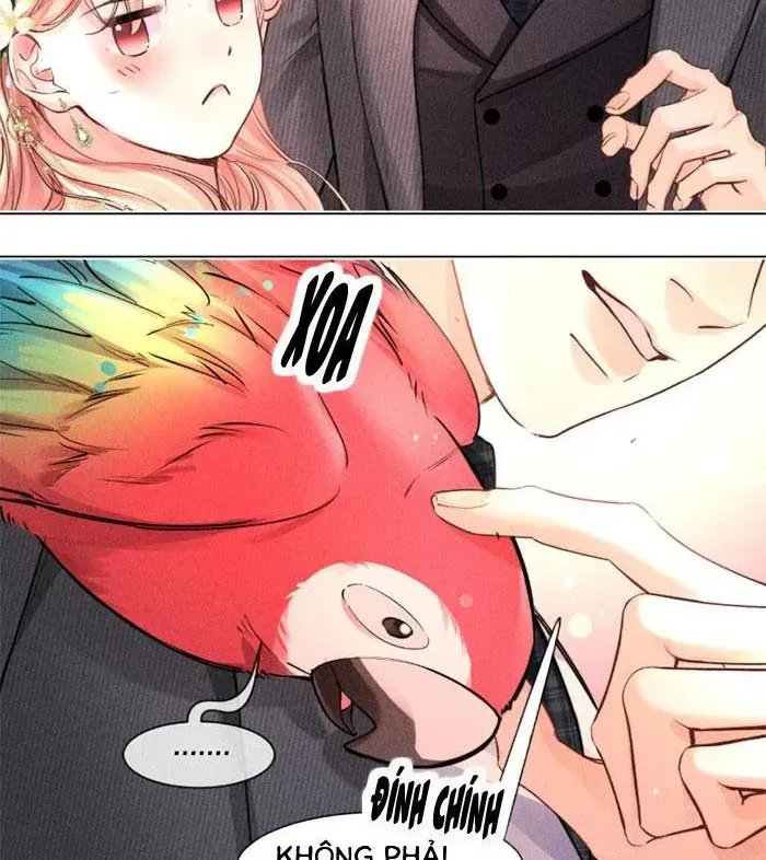 Định Mệnh Sau Cú Đấm Nhầm Chap 31 - Next Chap 32