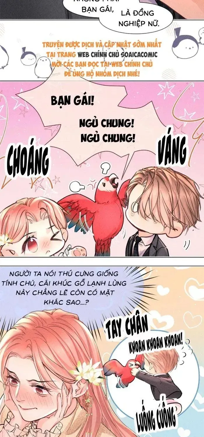 Định Mệnh Sau Cú Đấm Nhầm Chap 31 - Next Chap 32