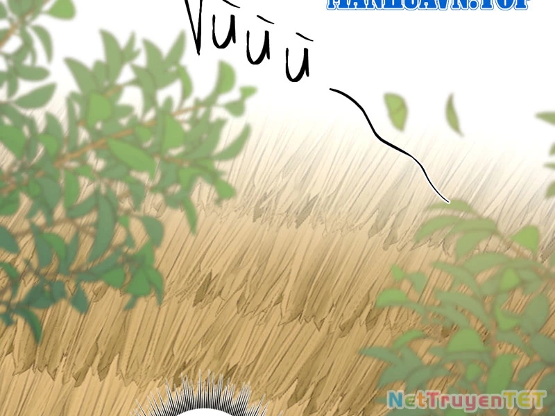 đồ đệ Ta đều Là Vô địch đại Yêu Chap 29 - Next Chap 30