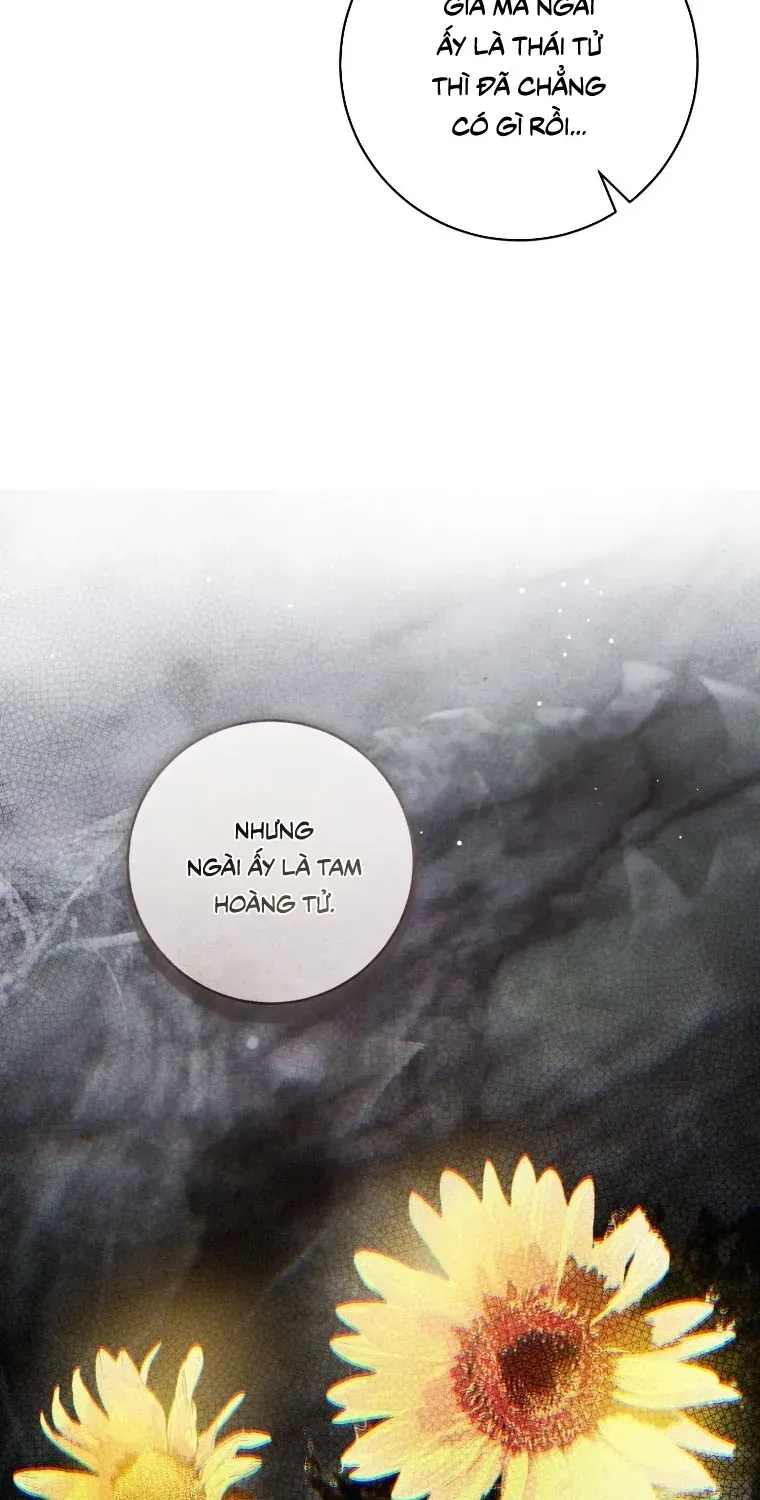 Đóa Hoa Cầm Kiếm Chap 31 - Next Chap 32