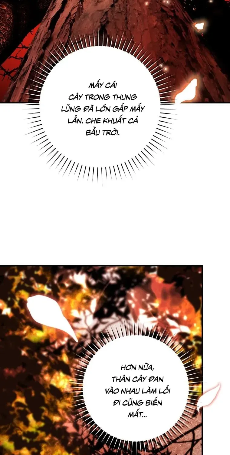 Đóa Hoa Cầm Kiếm Chap 45 - Next Chap 46