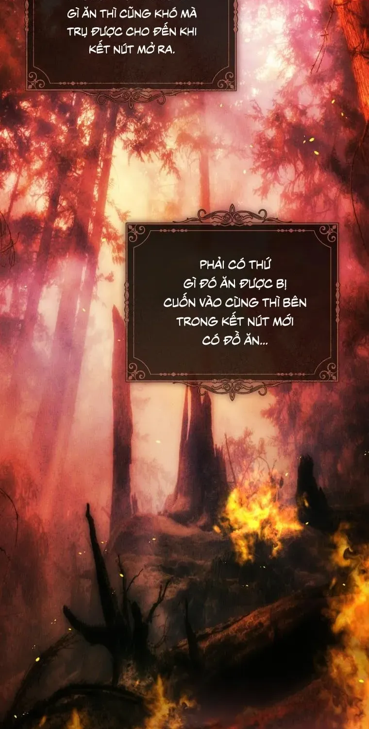 Đóa Hoa Cầm Kiếm Chap 45 - Next Chap 46