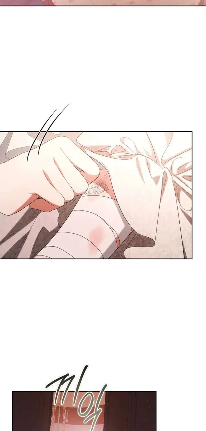 Đoàn Trưởng Kỵ Sĩ Của Nam Phụ Chap 4 - Next Chap 5