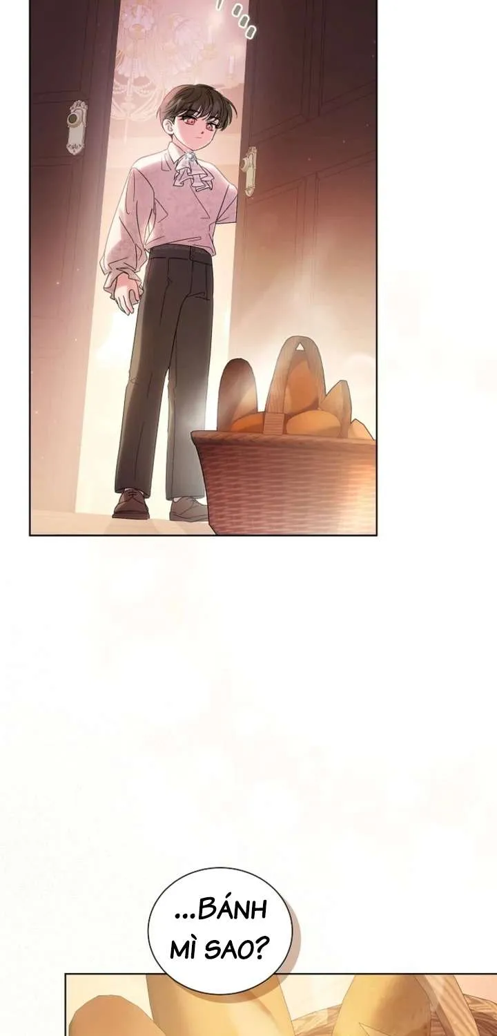 Đoàn Trưởng Kỵ Sĩ Của Nam Phụ Chap 4 - Next Chap 5