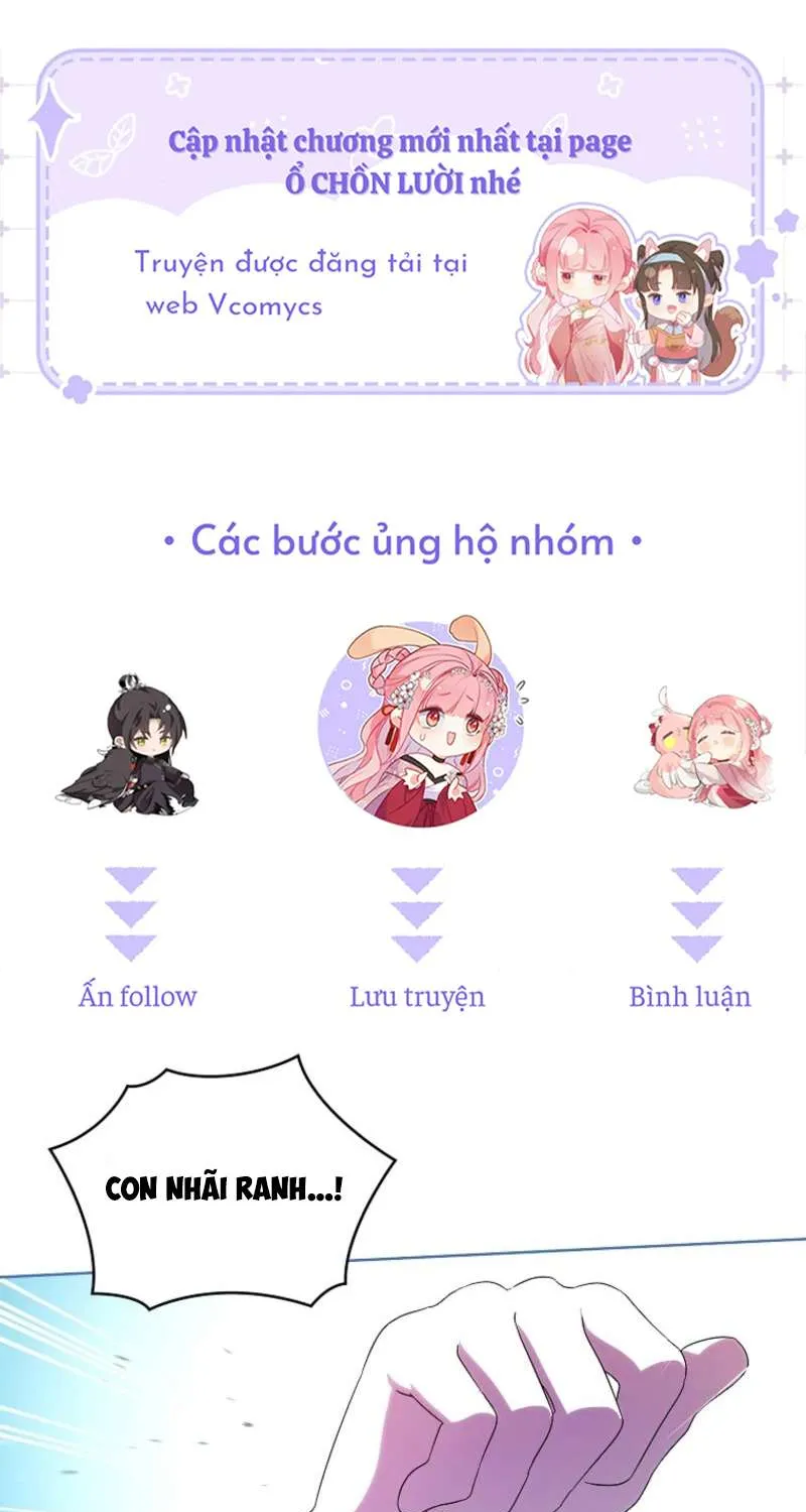 Đoàn Trưởng Kỵ Sĩ Của Nam Phụ Chap 5 - Next Chap 6