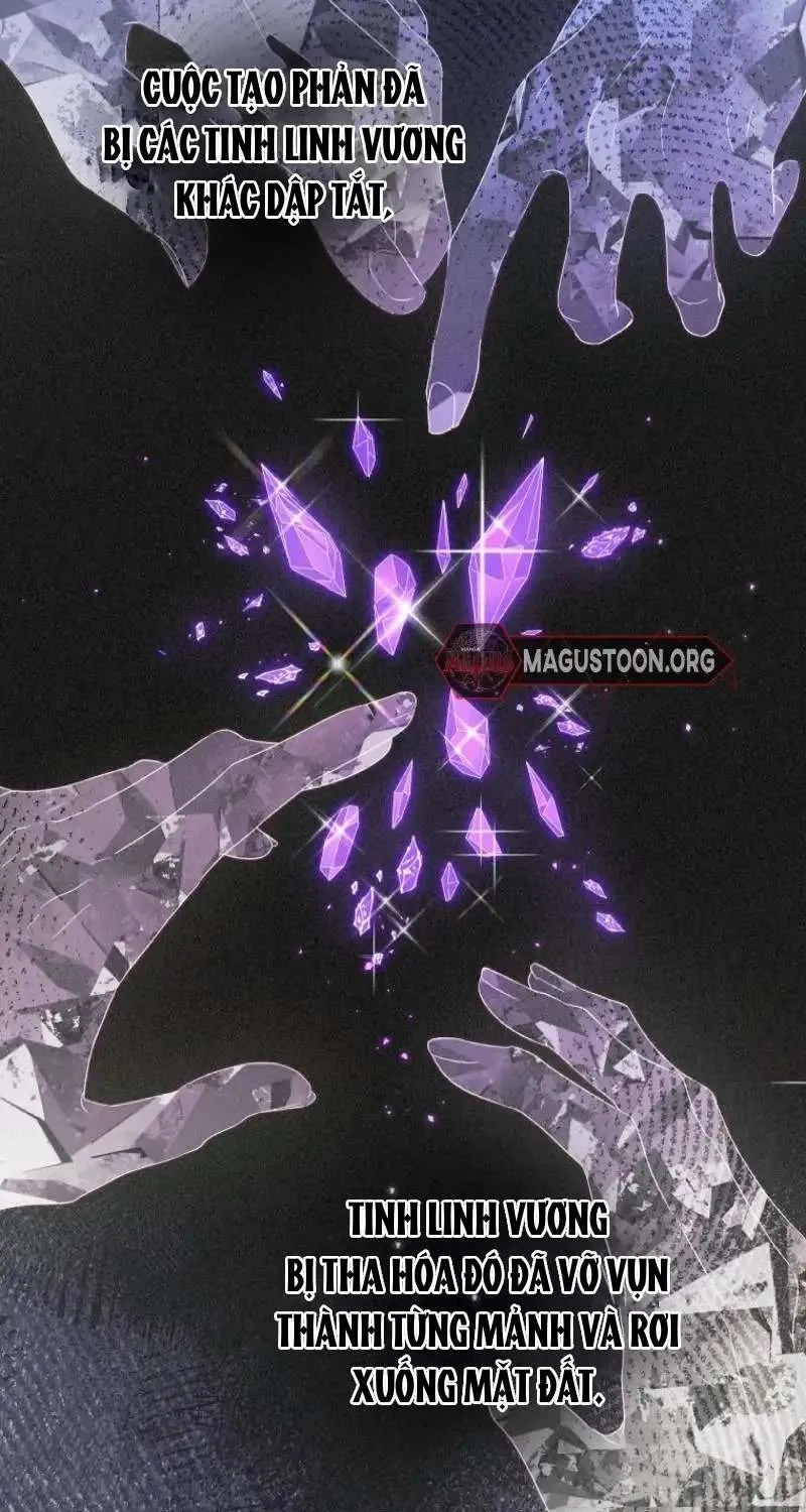 Đoàn Trưởng Kỵ Sĩ Của Nam Phụ Chap 7 - Next Chap 8